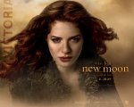 twilight-new-moon-wall-paper-11