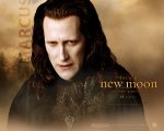 twilight-new-moon-wall-paper-13