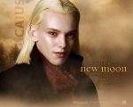 twilight-new-moon-wall-paper-15