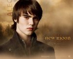 twilight-new-moon-wall-paper-17