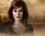 twilight-new-moon-wall-paper-2
