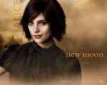 twilight-new-moon-wall-paper-3