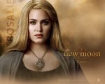 twilight-new-moon-wall-paper-5