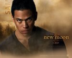 twilight-new-moon-wall-paper-7