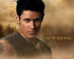twilight-new-moon-wall-paper-8