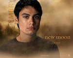 twilight-new-moon-wall-paper-9