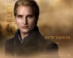 twilight-new-moon-wall-paper