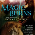 Book Review – Magic Burns