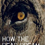 Exclusive – How the Dead Dream by Lydia Millet (chapter excerpt!)