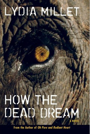 how the dead dream lydia millet