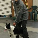 LIFE’S A BALL! CHASE IT! by Margaret Weis